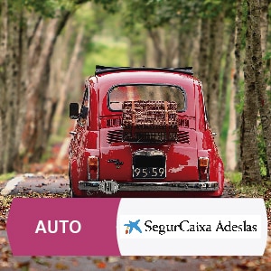 Seguro Auto