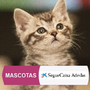 Seguro Mascotas